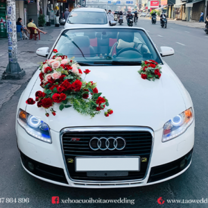 https://taowedding.vn/wp-content/uploads/2022/05/AUDI-MUI-TRAN_1-300x300.png