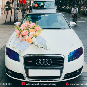 https://taowedding.vn/wp-content/uploads/2022/05/AUDI-MUI-TRAN_10-300x300.png