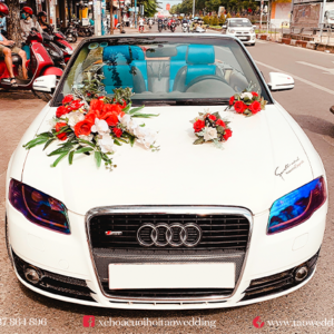 https://taowedding.vn/wp-content/uploads/2022/05/AUDI-MUI-TRAN_14-300x300.png