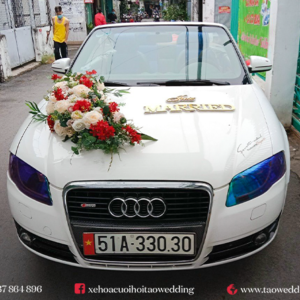 https://taowedding.vn/wp-content/uploads/2022/05/AUDI-MUI-TRAN_18-300x300.png