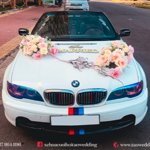 https://taowedding.vn/wp-content/uploads/2022/05/BMW-320i_10-300x300.png