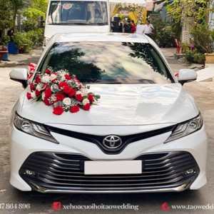 https://taowedding.vn/wp-content/uploads/2022/05/CAMRY_2-300x300.png