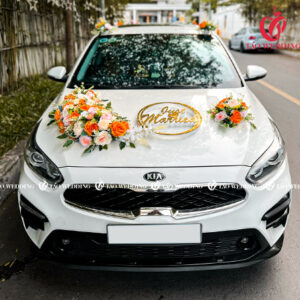 https://taowedding.vn/wp-content/uploads/2022/05/CERATO-KHUONG_1-300x300.jpg