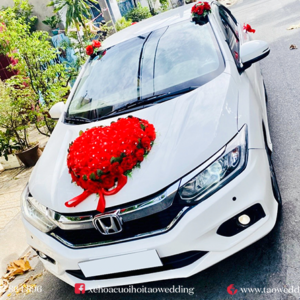 https://taowedding.vn/wp-content/uploads/2022/05/HONDA-CITY_3-300x300.png