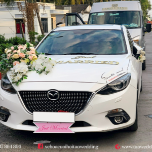 https://taowedding.vn/wp-content/uploads/2022/05/MAZDA-3_HOA-LAN-TRANG-CAM_5-300x300.png