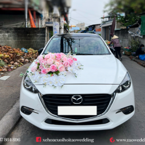 https://taowedding.vn/wp-content/uploads/2022/05/MAZDA-3_HOA-LAN-TRANG_4-300x300.png