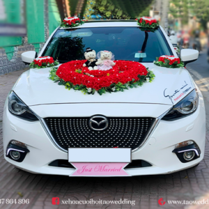 https://taowedding.vn/wp-content/uploads/2022/05/MAZDA-3_TIM-DO-XANH-LA_3-300x300.png