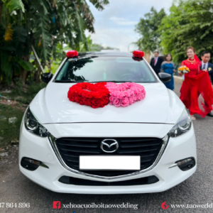 https://taowedding.vn/wp-content/uploads/2022/05/MAZDA-3_TIM-DOI-DO-HONG_6-300x300.png