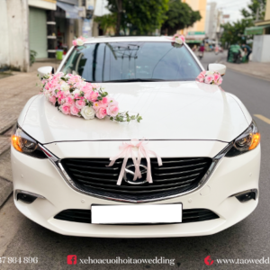 https://taowedding.vn/wp-content/uploads/2022/05/MAZDA-6_HOA-HONG-XEO_6-300x300.png