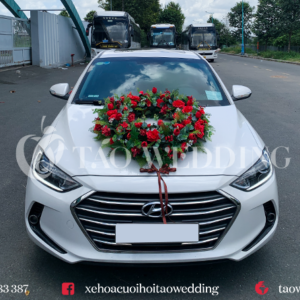 https://taowedding.vn/wp-content/uploads/2022/08/ELANTRA-1-300x300.png