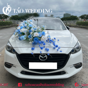 https://taowedding.vn/wp-content/uploads/2022/10/hoa-xanh-duong_1-300x300.png