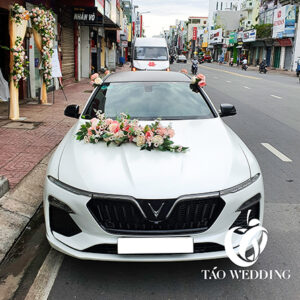 https://taowedding.vn/wp-content/uploads/2022/12/V1-300x300.jpg