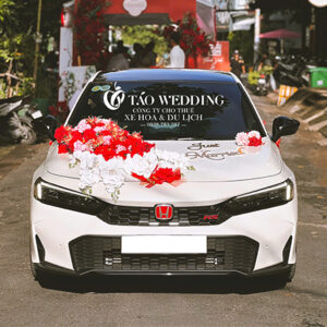 https://taowedding.vn/wp-content/uploads/2025/10/1-1-300x300.jpg